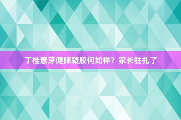 丁桂薏芽健脾凝胶何如样？家长驻扎了